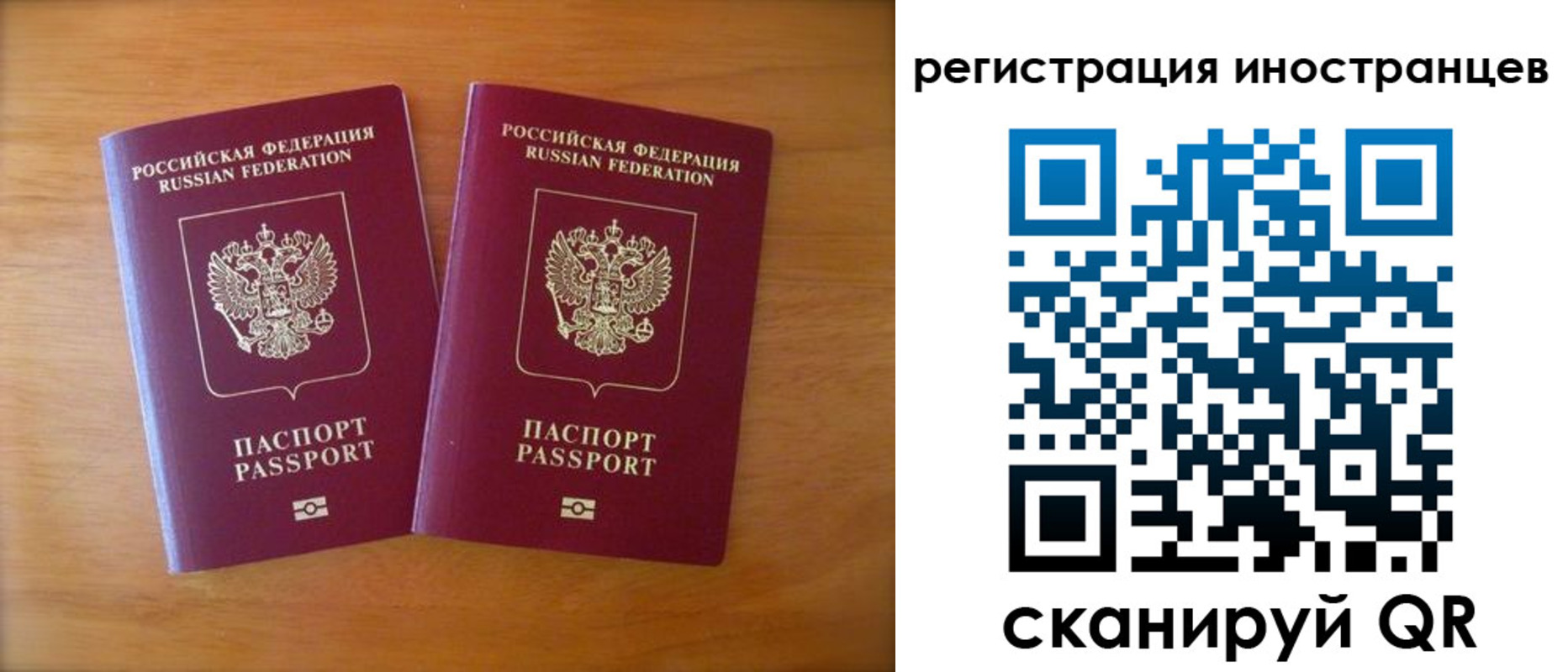 прописка поиск в Шилке
